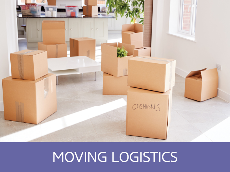 relocate.je moving logistics in jersey